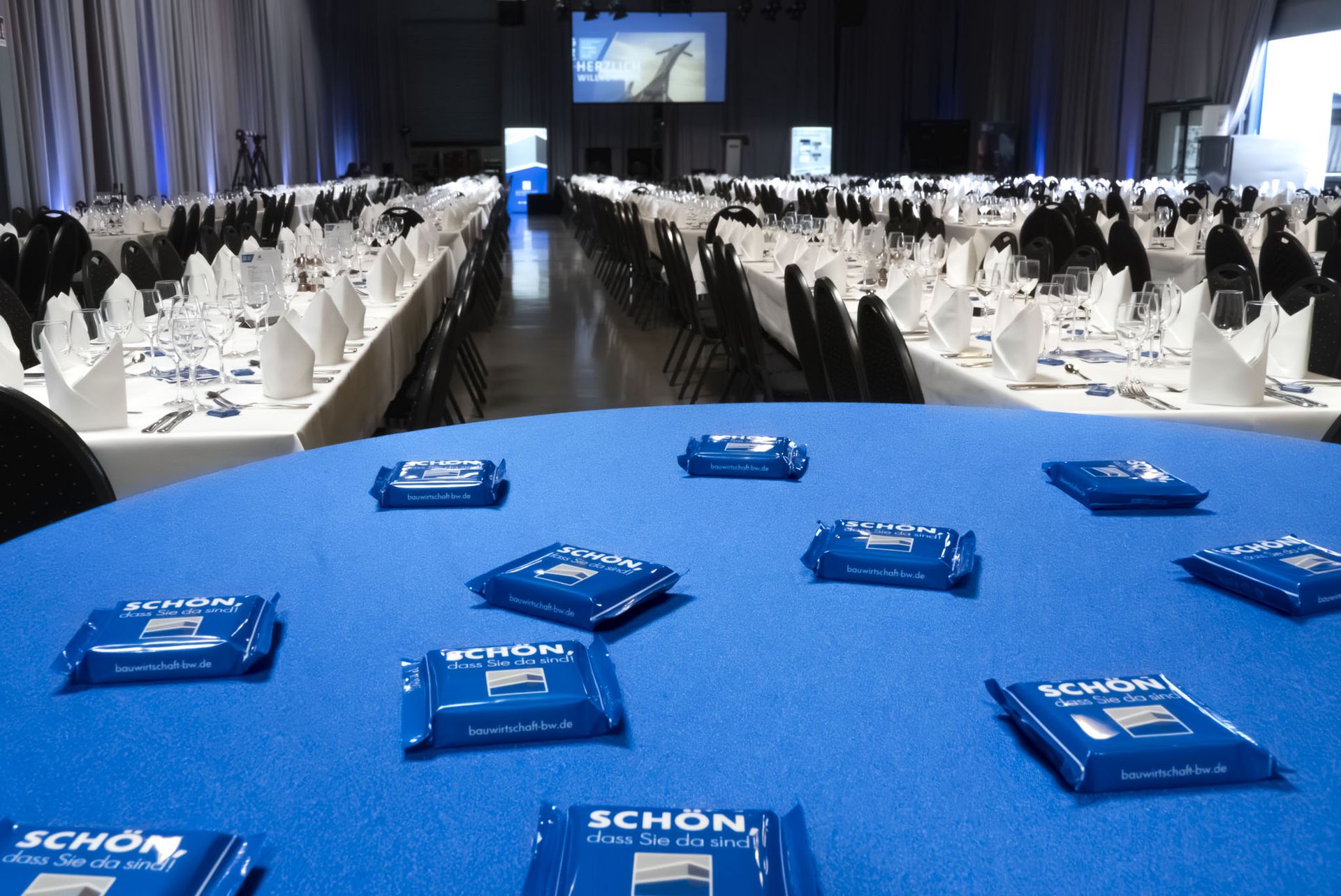 Tag der Bauwirtschaft 2025 Rückblick auf das Verbandsevent des Jahres im Technik Museum Sinsheim.